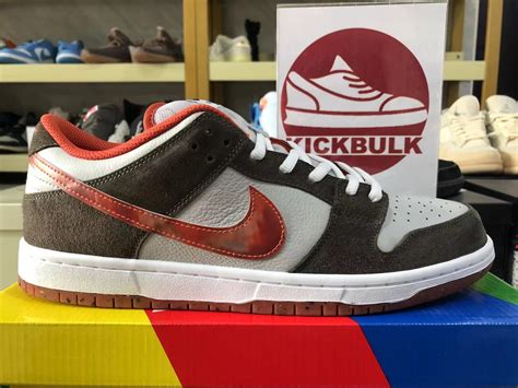 nike dunk low sb camera